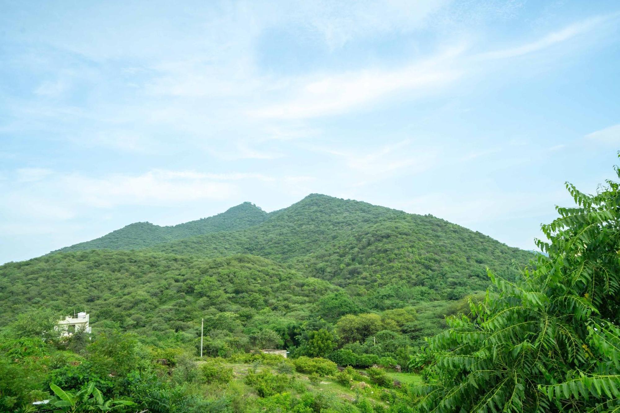 فندق Treebo The Aravali Getaway أُودايبور المظهر الخارجي الصورة